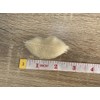 200 Pcs Small Skeleton Leaves Rubber Tree Natural Scrapbooking Craft