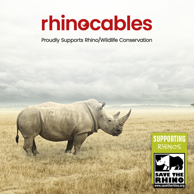 rhinocables RJ11 to BT Socket Adapter - Phone to Ethernet