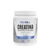 Dr Will Creatina Monohidratada alta pureza, Suplemento Alimenticio sin Sabor,