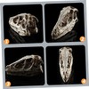 VILLFUL Unique Dinosaur Skull Model Skull Specimen Attractive Design for