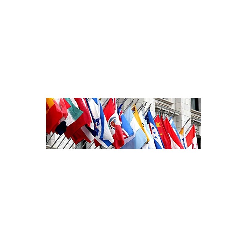 Annin Flagmakers 197609 Nylon SolarGuard NYL-Glo South Korea Flag, 4