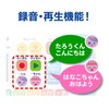 Toyroyal Hiragana Katakana Tablet (Letter Play/Educational Toy), Studying, Children's Tablet