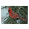 Lunarable Cardinal Cutting Board, Northern Cardinal Bird Standing on a