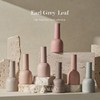 Balagel Earl Gray Leaf 7-piece set / 발라젤 얼그레이 리프
