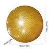 Yoga Ball | Heavy Duty Gym Ball | High Elastic