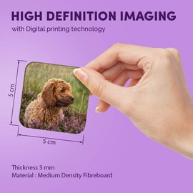 1 x Square MDF Fridge Magnet - Fluffy Cockapoo Puppy Dog 2703