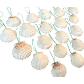White Scallop Seashell Christmas Ornaments (Set of 20)