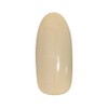 PRE GEL カラーEX フェリチータの鐘楼914 3g PG-CE914 UV/LED対応