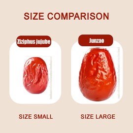 LXJZGYJQ Terrific Dried Jujube Dates - Inherently Sweet 210g, Nutrient - Superfood, Suitable for Tea Blending, Traditional Asian Delicacies, and Delicious Desserts, Meticulously Handpicked (0.5 LB)