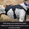 Snootiful Hound Sighthound Harness for Greyhounds, Whippets and Lurchers -