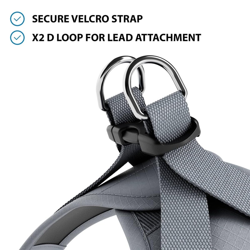 BullyBillows Step-In Small Dog Harness With Handle | Pink, Medium,