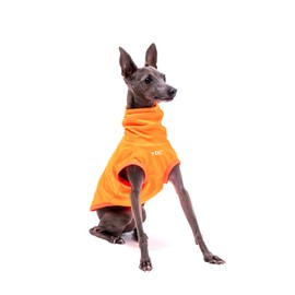 Italian Greyhound Clothes, Lightweight & Breathable Sun Protection Tank Tops for Italian Greyhound and Whippets Dogs (Orange, XX-Large)
