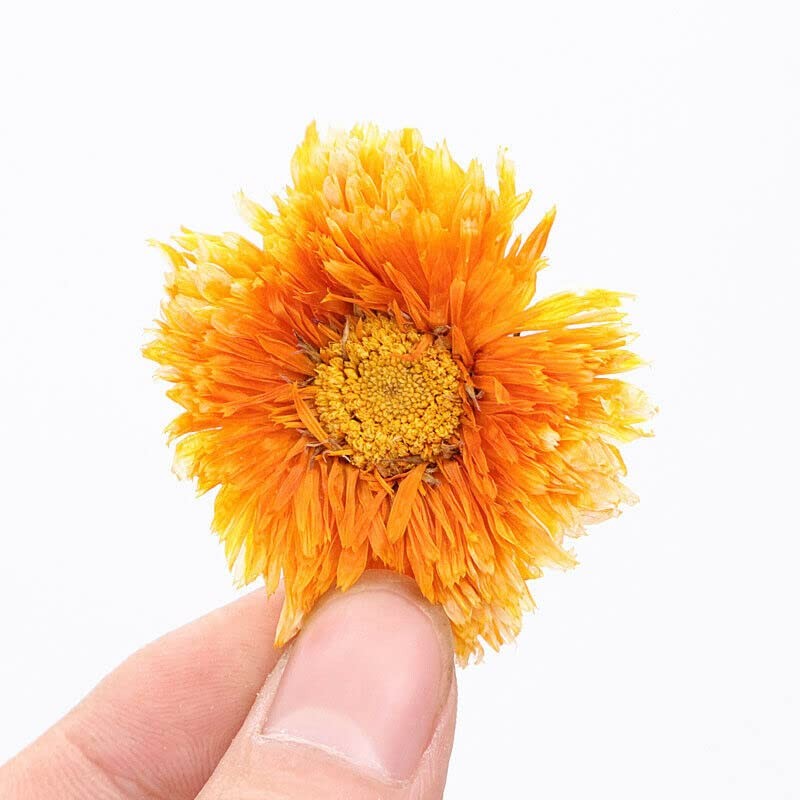 Chinese Marigold Tea Calendula Officinalis Tea Female Flower Aromatic Herbal