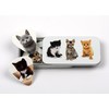 Tin of 9 Kitten Guitar Plectrums - Harmony Picks