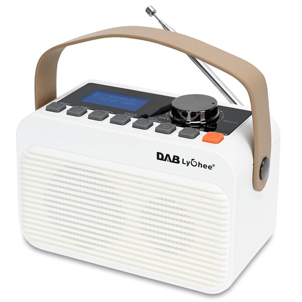 Lychee Digital FM Radio DAB/DAB+ BT Portable Radio Rechargeable LED