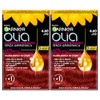 Garnier Olia Permanent Hair Colour without Ammonia, Colouring with Flower
