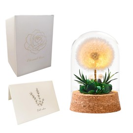 XZXYMYGS Light Up Dandelion in Glass Dome，Birthday Gifts，Flower Gifts for Women Girlfriends Wives Mothers Daughters Sons，Desk Decor Valentine's Day Mother's Day Christmas Thanksgiving Day，Green Leaf