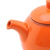 FORLIFE Curve Teapot with Infuser, 24-Ounce, Carrot