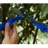 BowYouMe UHMW-PE Fruit Tree Branch Limb Spreader Adjuster Plant Bending