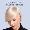 Color Charm COLORCHARM Powder Hair Lightener 1lb