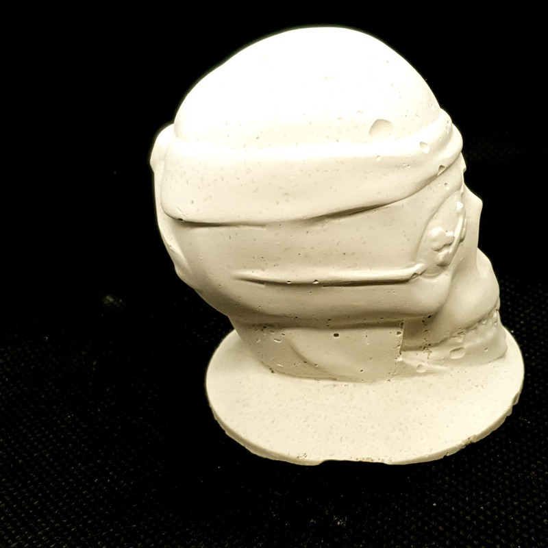 Reef-Geeks Novelty Growout Skull, Coral Frag plug, frag rock, frag