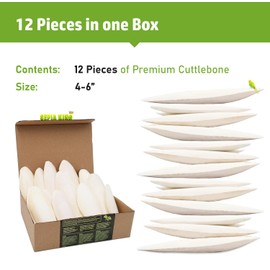 Sepia King - Medium - 100% Natural Calcium Supplement - Premium Cuttlebone Perfect for Birds, Tortoises, Snails, Reptiles - 12 Pack