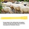 10Pcs Goat Collar Sheep Identification Bands Livestock Marking Ring Farming