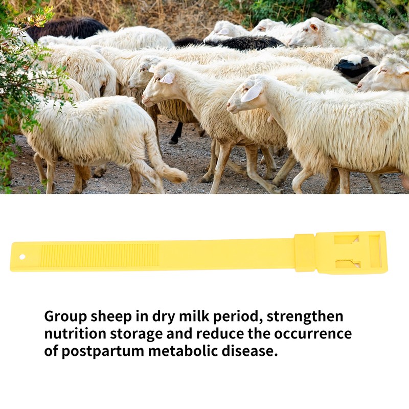 10Pcs Goat Collar Sheep Identification Bands Livestock Marking Ring Farming