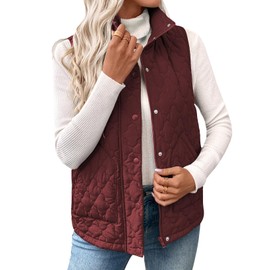 EVALESS Puffer Vest Women Cropped Lightweight Quilted Jackets 2025 Trendy Fashion Fall Spring Stand Collar Sleeveless Button Zip Up Outerwear Coat,Wine Red Large