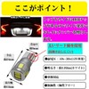 LMMC Pro Box NCP160V NSP160V T10 LED License Lamp License