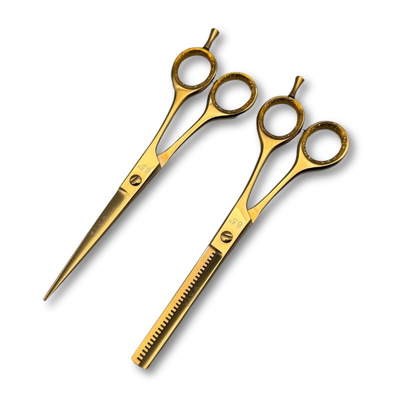 Professional 6.5 Inch Hair Scissors & Thinning Shears Texturing Set