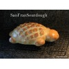 SanFranSourdough California SOUR STARTER tangy active strong Sourdough bread Organic