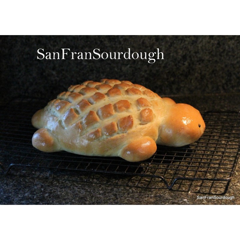 SanFranSourdough California SOUR STARTER tangy active strong Sourdough bread Organic