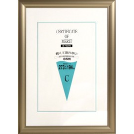 Iwata AS-20-B5-SP Frame Award Frame Award Frame B5 Aluminum Frame Gray