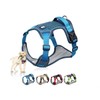 LuminaD Four Seasons Kimming Pet Harness Leash Dog Supplies M / Blue