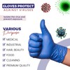 CHEF ROYALE Pack of 500 New Blue Vinyl Gloves -