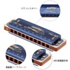 East top Harmonica Blues Harmonica 10 Hole Harmonica D Tone