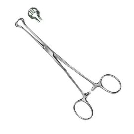 Norralco 6 BABCOCK Intestinal Tissue Forceps, 9.5" with 15 mm wide Jaw, Stainless