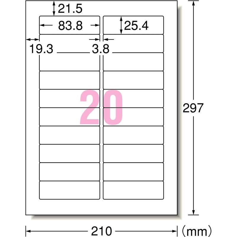 エーワン ラベルシール ラベル 用紙 表示用 整理収納 20面 15シート 28461