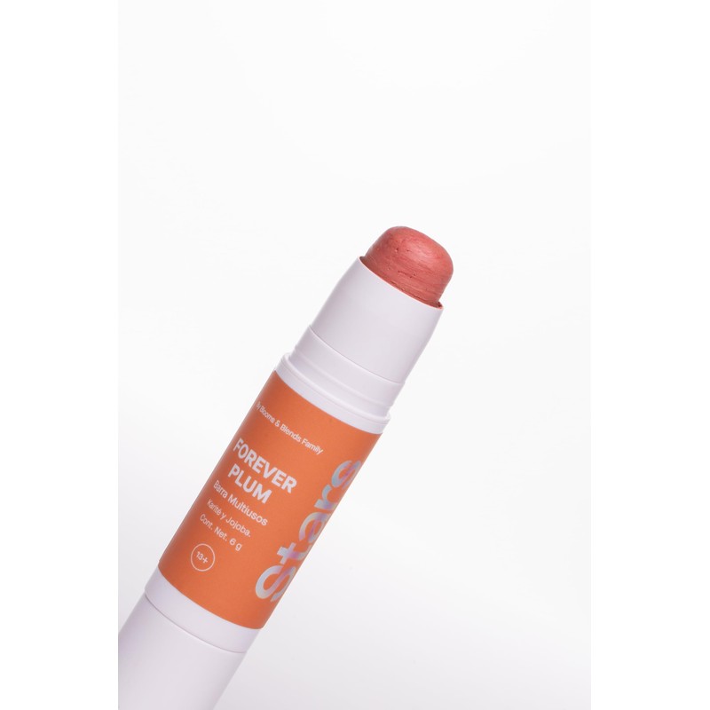 Blooms & Blends Family - FOREVER PLUM BLUSH MULTISTICK -