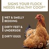 FlockLeader Healthy Coop, Litter Additive for Chicken Coop with Probiotic