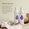 Young Living Lavender Volume Shampoo, 8 fl oz - Nourishes