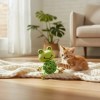 Juguete Para Gato Con Figura De Tortuga Silver Paw