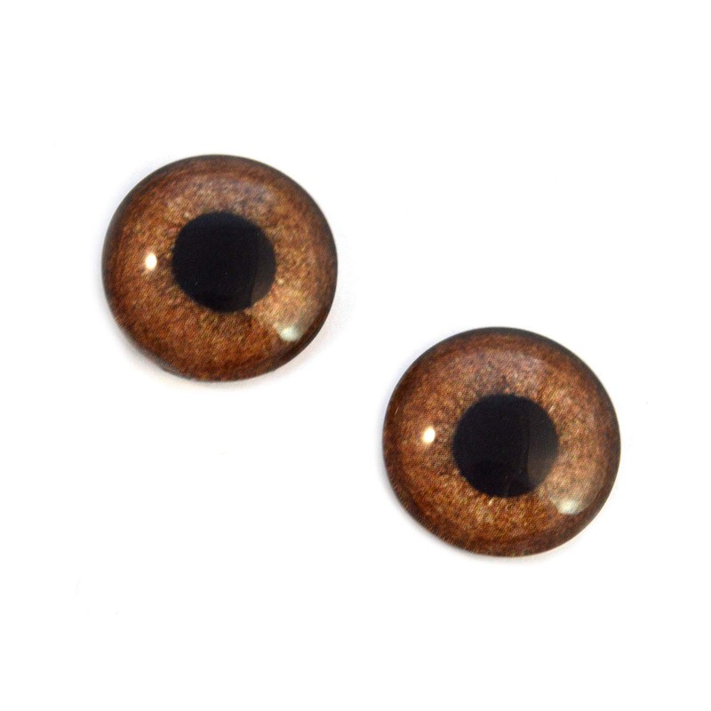 Brown Griffon Bird Glass Eyes Realistic Foul Animal Pair for