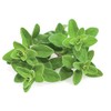 Marjoram Leaf - Origanum majorana Loose Leaf c/s 100% from
