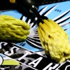 Twisstar Easy rim brush.