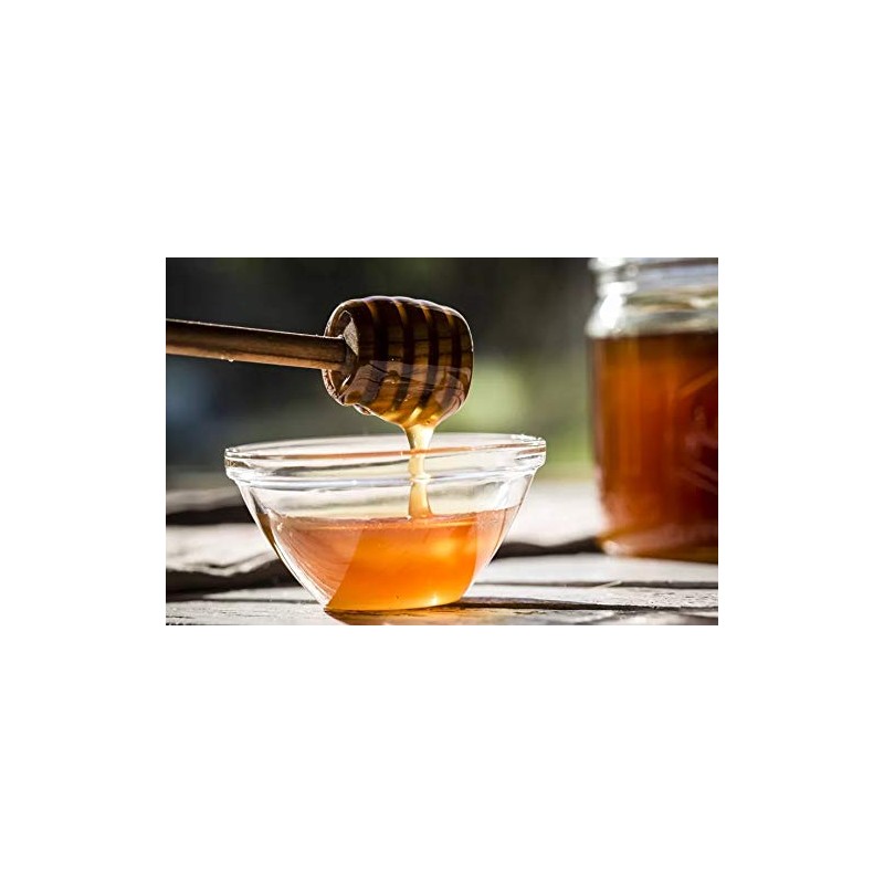Wild Raspberry Honey - 8 oz, Made in Maine, Organic,