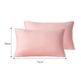 AYSW 2 x Zippered Housewife Pillowcases Brushed Microfiber Bedroom (50X75) CM Pillowcase Covers Pink
