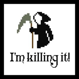 Counted Cross Stitch Pattern. I'm killing it!