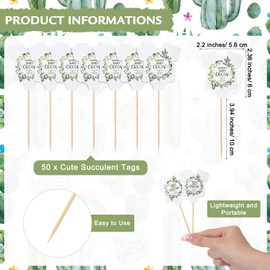 Geetery 101 Pcs Succulent Baby Shower Party Favor 1 Wooden Table Sign 50 Tags and 50 Kraft Succulent Pots for Guest Baby Shower Favors Gifts(Baby)